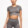 Gym King Formation Seamless Rib Short Sleeve Top - Gunmetal